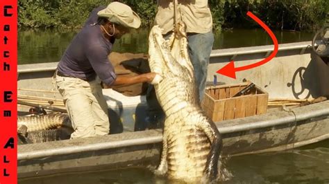 Biggest Alligator Caught On Fishing Pole By Zak Catchem On Swamp People Youtube