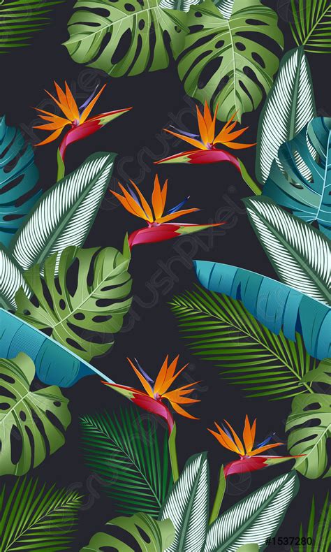 Seamless Pattern With Bird Of Paradise Tropical Leaves Palms Monstera