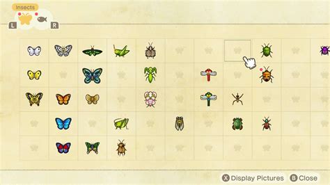 Animal Crossing New Horizons Bugs Guide How To Catch Prices And