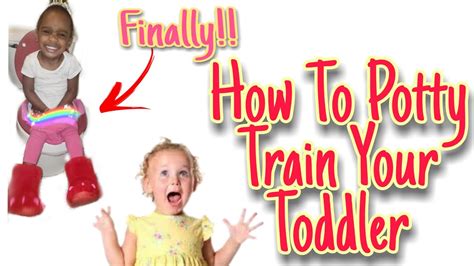 Potty Training Your Toddler How To Potty Train Your Toddler Youtube