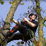 Arborist Tree Climbing Gear