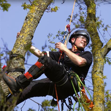 A sport of pest control osrs can take upto 25 players. Arborist Tools, Gear and Supplies UK from Landmark Trading