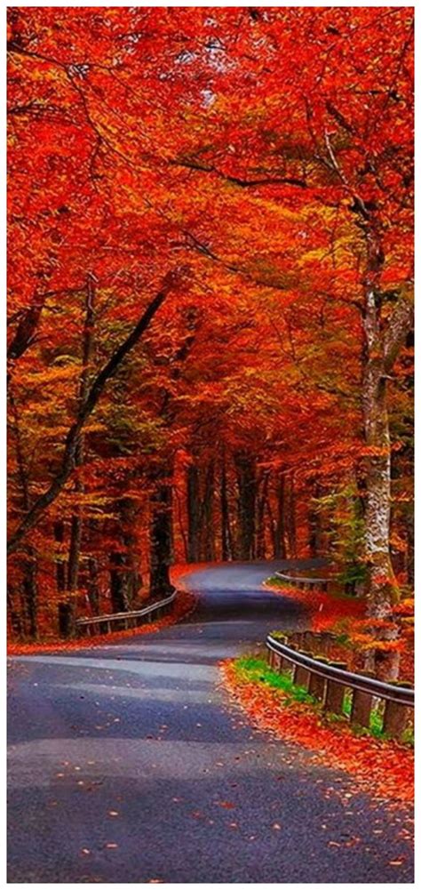 31 Beautiful Autumn Wallpapers Autumn Scenery Scenery Fall Pictures