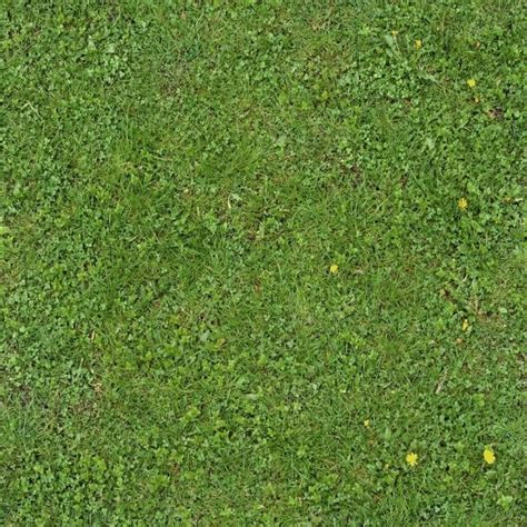 65 Free High Resolution Grass Textures Grass Textures Plant Texture