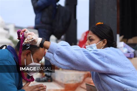 Bhai Tika Tihar Festival Buy Images Of Nepal Stock Photography Nepal