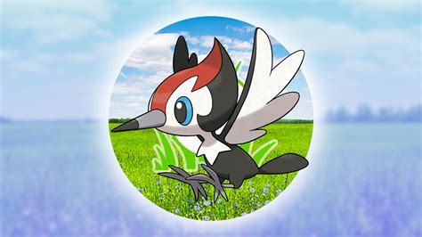 Pokemon Go Pikipek Spotlight Hour Guide Shiny Pikipek Chances