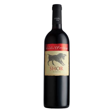 The biblical judith, the fourth most popular name in 1940, may be getting ready for a comeback in its full, elegant, if somewhat solemn form. Shiloh Shor Barbera