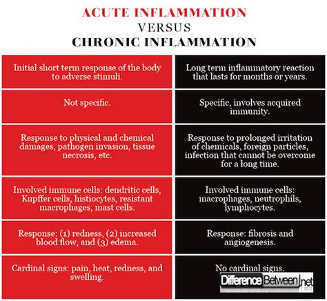 Difference Between Acute Inflammation And Chronic Inflammation