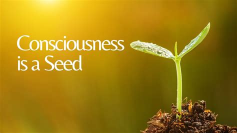 Consciousness Is A Seed Youtube