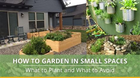 Small Space Gardening Top Ideas For Limited Space Youtube