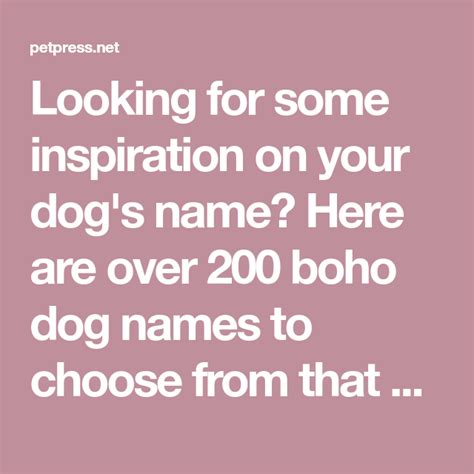 The Best Boho Dog Names 200 Inspirational Dog Name Ideas