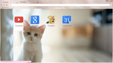 Cute Cat Chrome Theme Themebeta