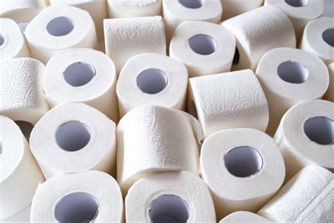 Quel Type De Papier Toilette Choisir Pour Votre Entreprise Neozone My