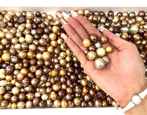 South Sea Pearls Aa Quality Beautiful Mm Mm Chocolate Golden