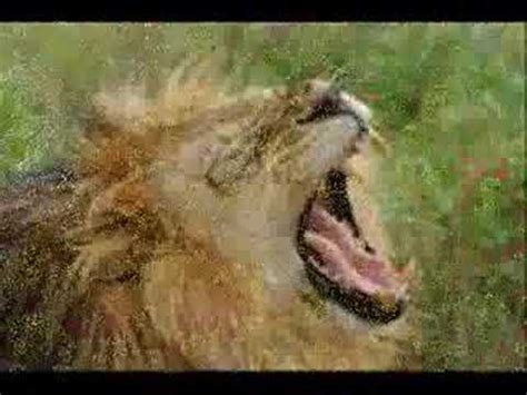 1.the sublime supreme law of the universe. nam myoho renge kyo - YouTube