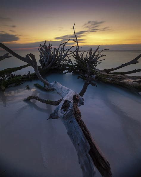 Florida Gulf Sunset Photograph By Chris Haverstick Fine Art America