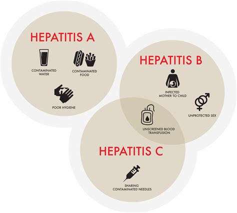 Hepatitis Diagnosis Treatment Travocure