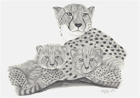 Cheetah cub heat press transfer for t shirt tote sweatshirt fabric block #411c. Cheetah and her Cubs Drawing by Patricia Hiltz