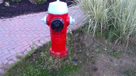 Mueller Fire Hydrant Installation Manual Baldcirclemortgage