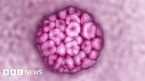 Hpv Cervical Cancer Test Introduced In England Bbc News