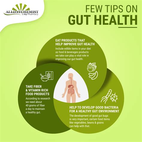 FEW TIPS ON GUT HEALTH | Improve gut health, Gut health, Health