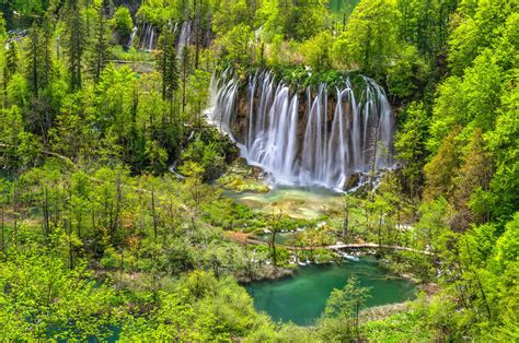 Trees Waterfalls Cascades National Park Plitvice Lakes Croatia