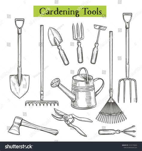 Gardening Tools Vector Illustration In Retro Sketch Style Shovel Rake