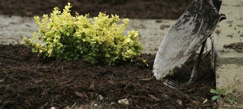 Landscaping Coverage Chart Alsip Home And Nursery