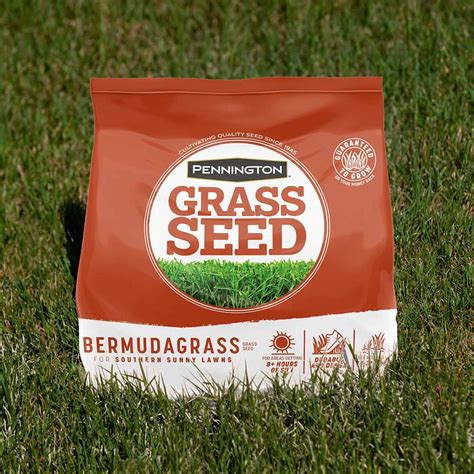 Bermudagrass Grass Seed Pennington