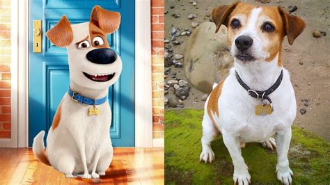 They get to know each other, but then dan finds out that marie is actually dating his brother, mitch. The Secret Life Of Pets Characters In Real Life | All ...