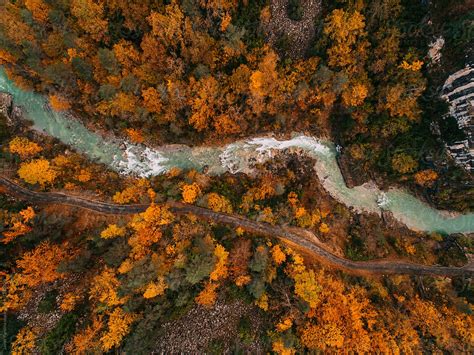 Aerial Autumn River By Stocksy Contributor Javier Pardina Stocksy