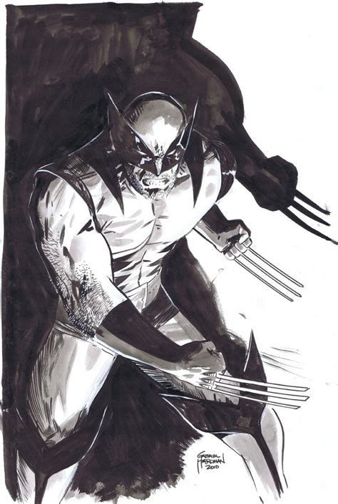 Wolverine Artwork Wolverine Marvel Marvel N Dc Marvel Comics Marvel