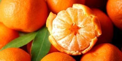 Reproducción de la mandarina todo lo que necesitas saber sobre su reproducción sexual