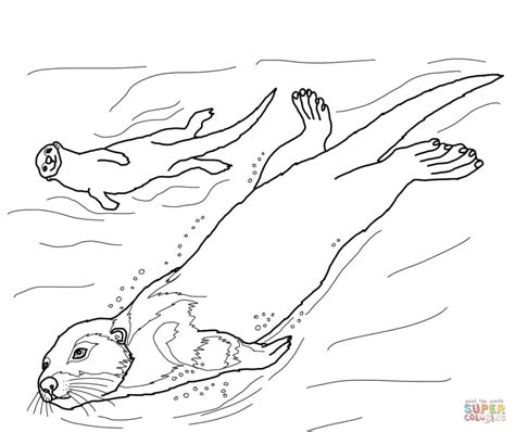25 Great Image Of Otter Coloring Pages Moana