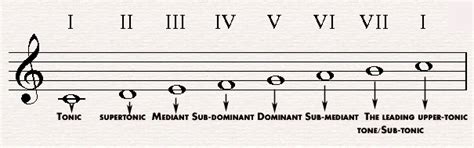 The first note is the 1st degree, the second is the 2nd degree the names of the degrees of the scale are used a lot in music theory and will come up a lot when talking about chords. My Music : Scale Degrees