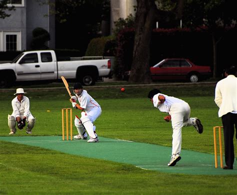 Cricket | Explore Patrick Doheny's photos on Flickr. Patrick… | Flickr