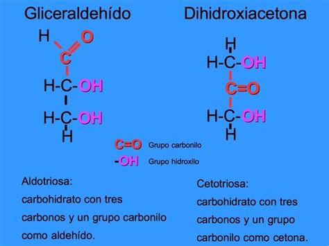 Estructura Quimica De Los Carbohidratos Glucidos 2020 Idea E Inspiración