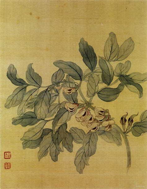 Ancient Chinese Flower Paintings By Yun Shou Ping 惲壽平 Inkston Ancient