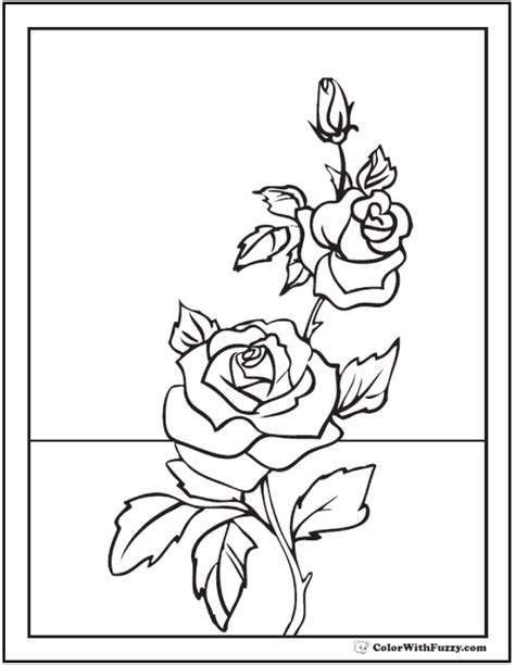 35 Rose Realistic Flower Coloring Pages Iremiss