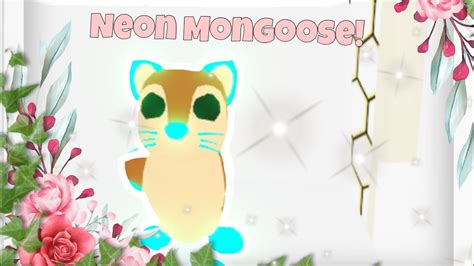 Making A Neon Mongoose Youtube