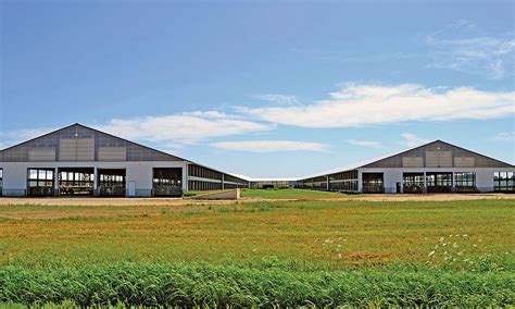 Livestock Dairy Metal Building American Buildings Company