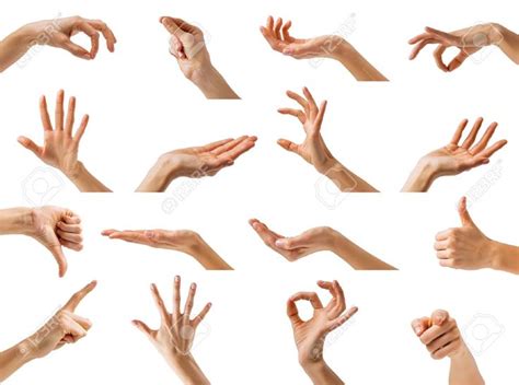 Collection Of Different Hands Gestures Stock Photo Hand