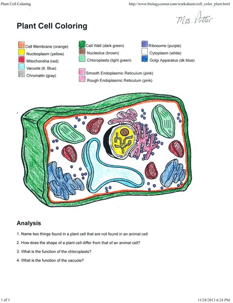 Animal Cell Coloring Key Animal Cell Coloring