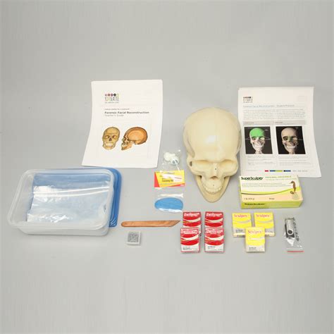 Forensic Facial Reconstruction Single Kit Kim Seattle