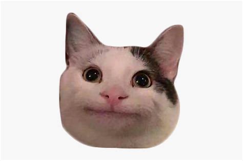 Cat Meme  Transparent