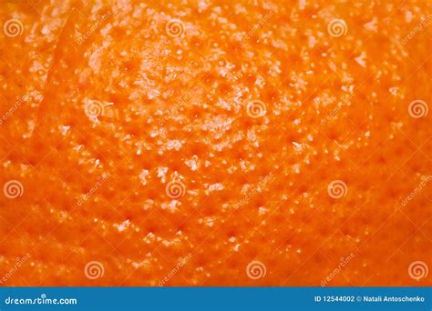 Skin Of Ripe Fruit Of Orange Stock Photo Image Of Frame Slices