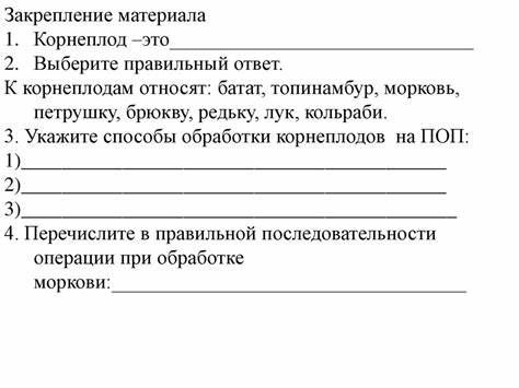 Кулинарная обработка диеты 10 Механическая кулинарная обработка корнеплодов - презентация онлайн Механическая кулинарная обработка корнеплодов - презентация онлайн Кулинарная обработка диеты 10