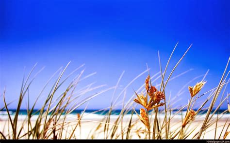 Beach hd wallpapers | ACTRESS HD WALLPAPERS HD WALLPAPERS
