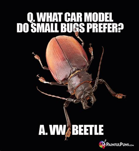 Insect Jokes Firefly Puns Grasshopper Humor 4