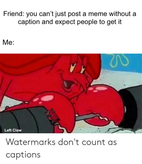 Watermarks Don T Count As Captions Funny Meme On Me Me